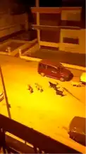 Altındağ'da Başıboş Köpekler Kabus Oluyor!