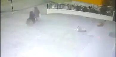 Ankara'da Yaşlı Kadına Köpek Saldırısı!