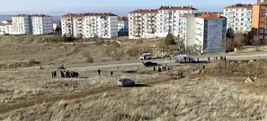 Başıboş Köpekler 13 Yaşındaki Çocuğu Yaraladı