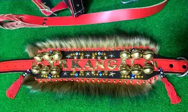 Beypazarı'ndan Dünyaya Köpek Tasmaları