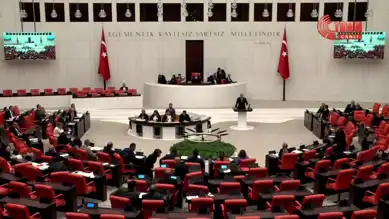 CHP'nin Termik Santral Önergesi Reddedildi