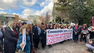 Hayvan Hakları Merkezi: Yönetmeliğe Protesto!