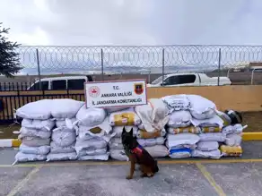 Kahramankazan'da 4,7 Ton Kaçak Tütün!