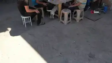Dron Kovalayan Köpekler Gülümsetti!