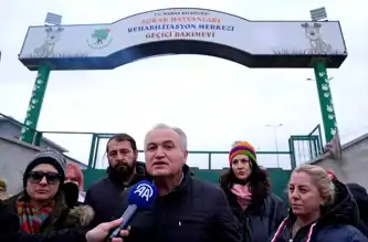 Mamak'ta Hayvan Katliamı İddiası: Vatandaşlar Tepkili