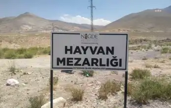 Niğde'deki Köpek Ölümleri: Soruşturma İzni Verildi