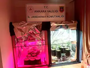 Yenimahalle'de Büyük Esrar Operasyonu: 2 Gözaltı