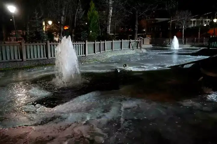 Ankara'da Eksi 10 Derece Soğuk! Kuğulu Park Dondu