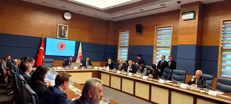 Bebek Ölümü Komisyonu İstanbul'da Araştırma Yapacak