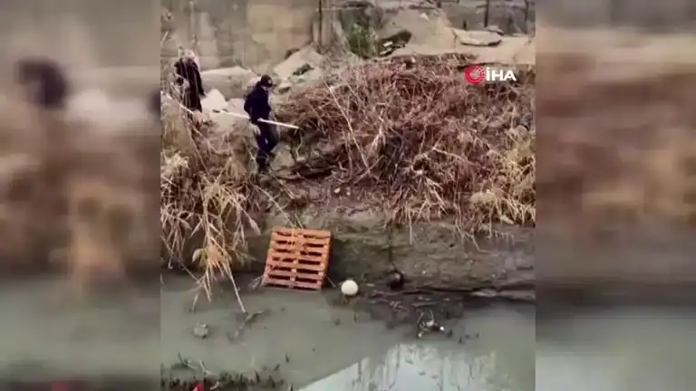 Gölbaşı'nda Derede Mahsur Kalan Köpek Yavrusu Kurtarıldı