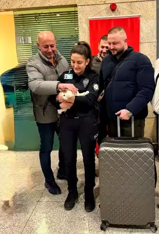 Esenboğa'da Araçta Mahsur Kalan Kedi Kurtarıldı