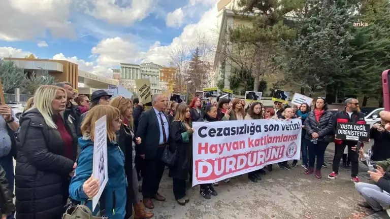 Hayvan Hakları Merkezi: Yönetmeliğe Protesto!
