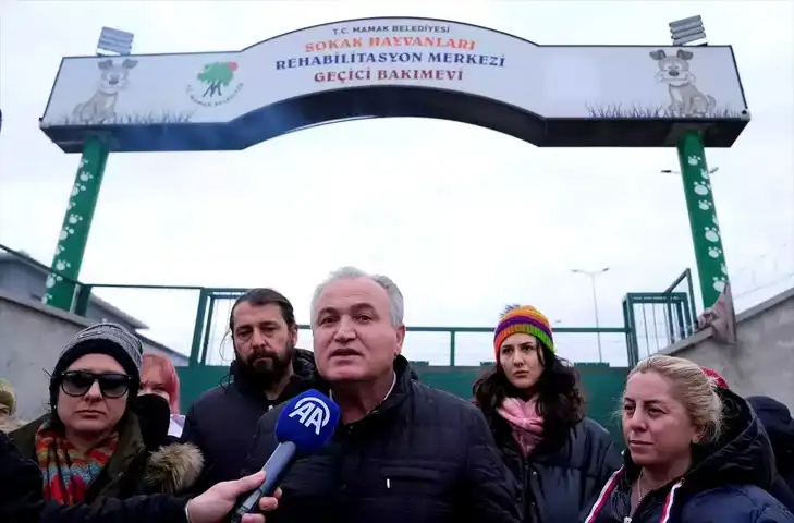 Mamak'ta Hayvan Katliamı İddiası: Vatandaşlar Tepkili