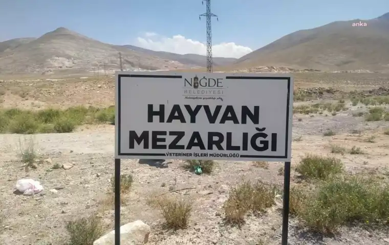 Niğde'deki Köpek Ölümleri: Soruşturma İzni Verildi
